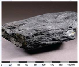 Graphite schist of the Lok Ma Chau Formation 
